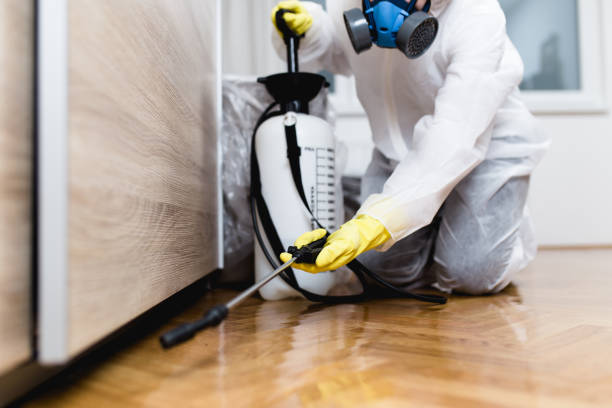 Reliable Jeanerette, LA Pest Control Solutions