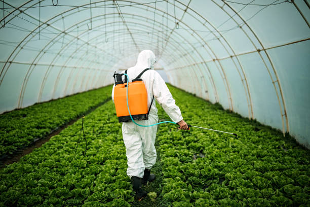 Best Pest Inspection Near Me  in Jeanerette, LA