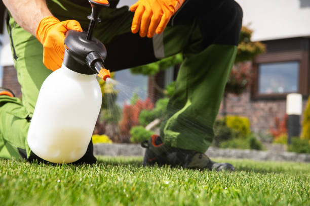 Best Emergency Pest Control  in Jeanerette, LA