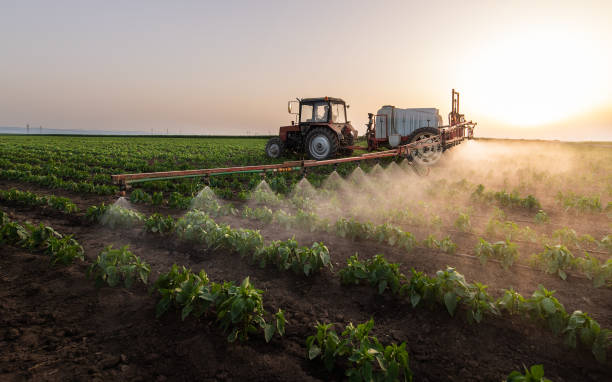Professional Pest Control in Jeanerette, LA