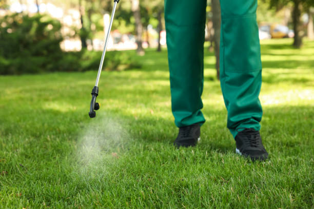 Best Best Pest Control Companies  in Jeanerette, LA
