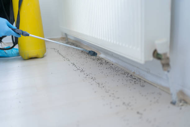 Best Commercial Pest Control Services  in Jeanerette, LA