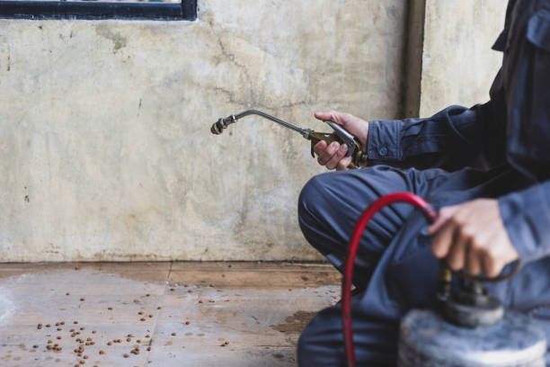 Best Termite Control Services  in Jeanerette, LA