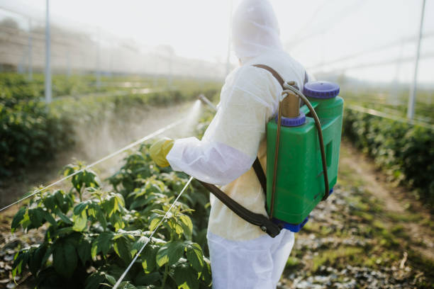 Best Residential Pest Control  in Jeanerette, LA